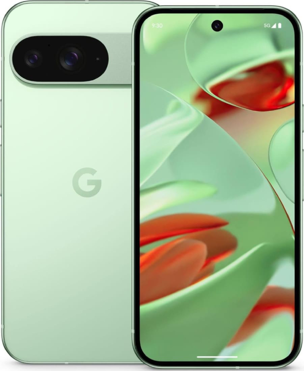 Google Pixel 9 12/256 Гб (Периодически перезагружается), Зимний зеленый