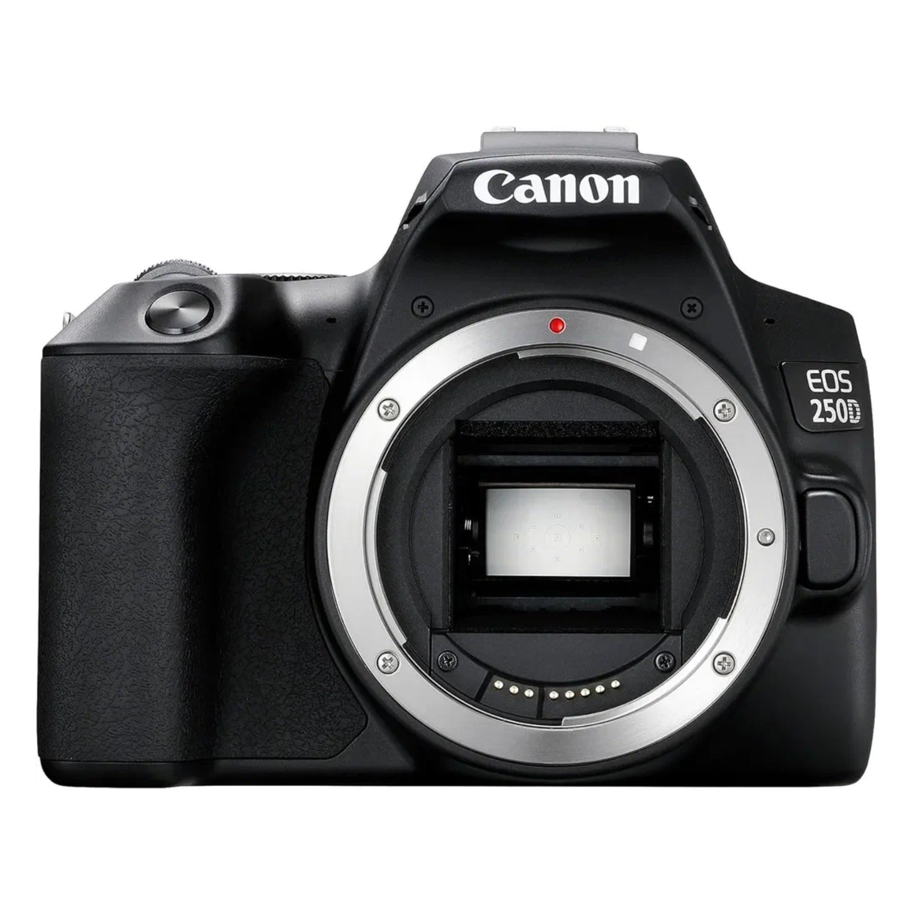 Canon EOS 250D Body в Краснодаре
