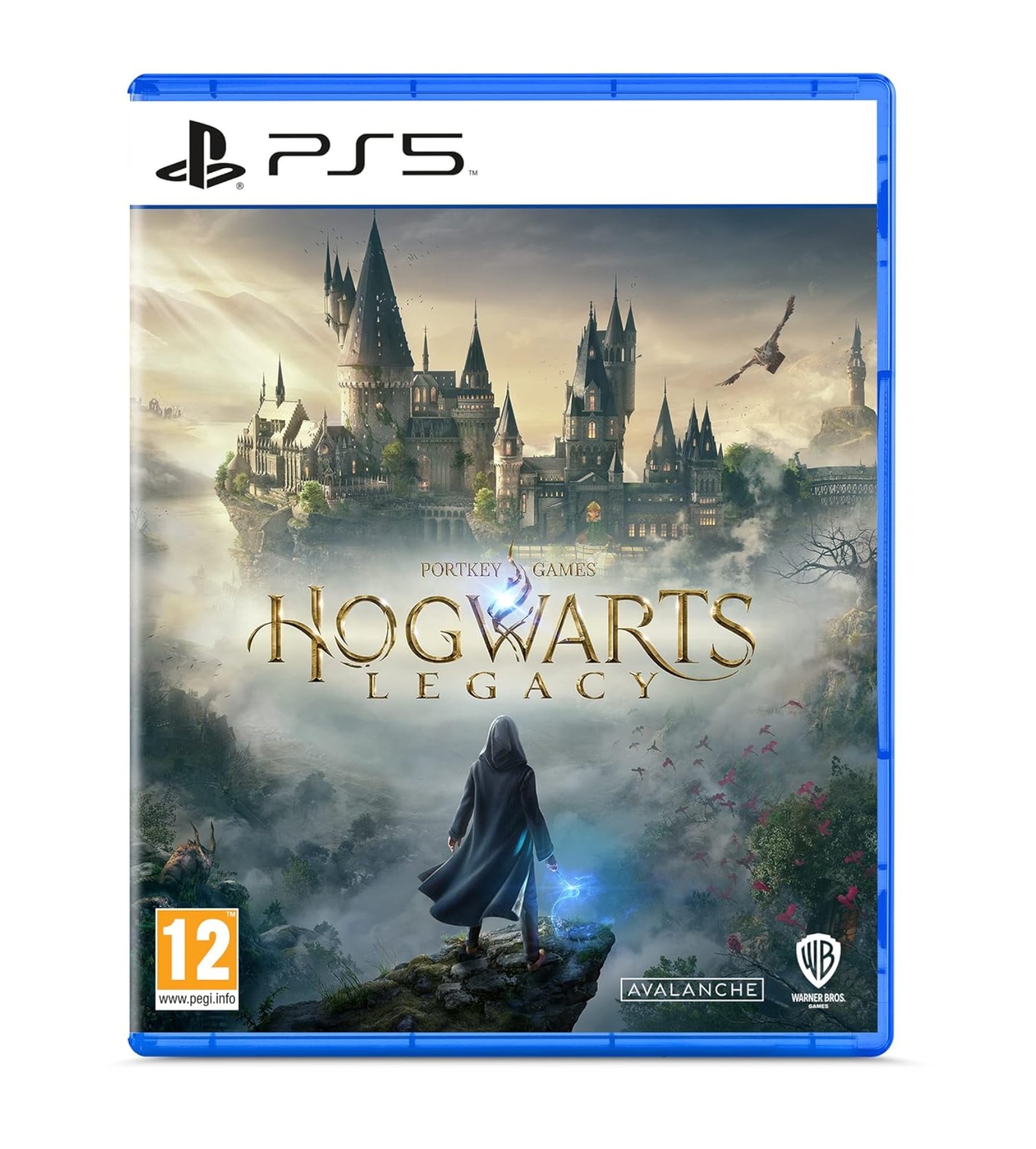 ИграHogwarts Legacy для PlayStation 5