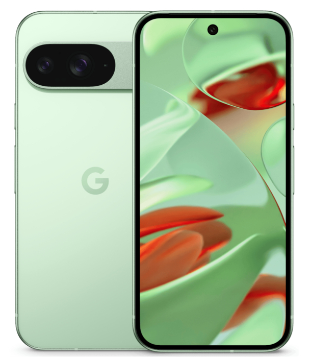 Google Pixel 9 12/128Гб, Зимний зеленый