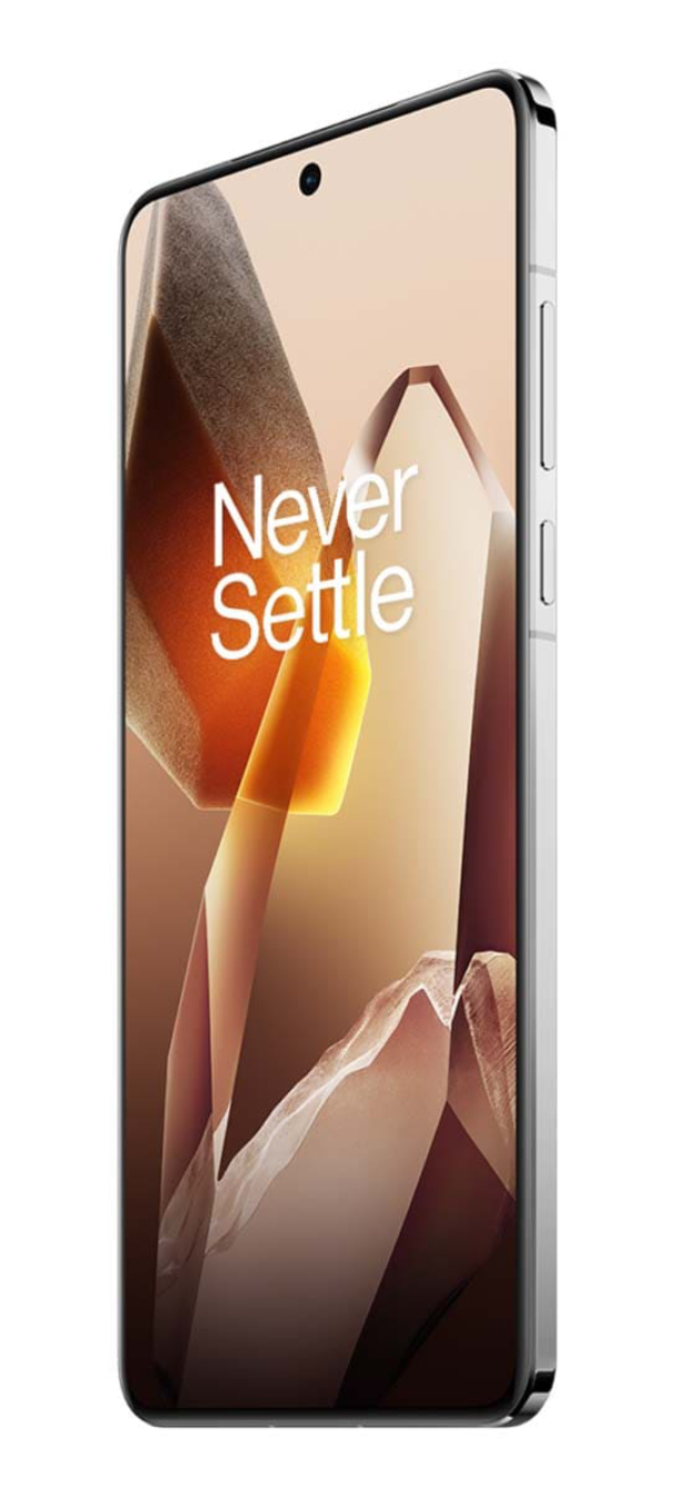 OnePlus 13 12/256Гб, Белый