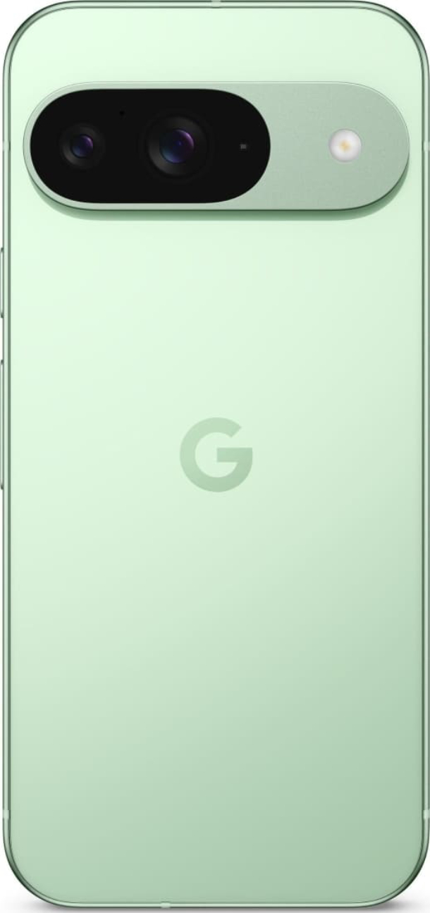 Google Pixel 9 12/128Гб, Зимний зеленый