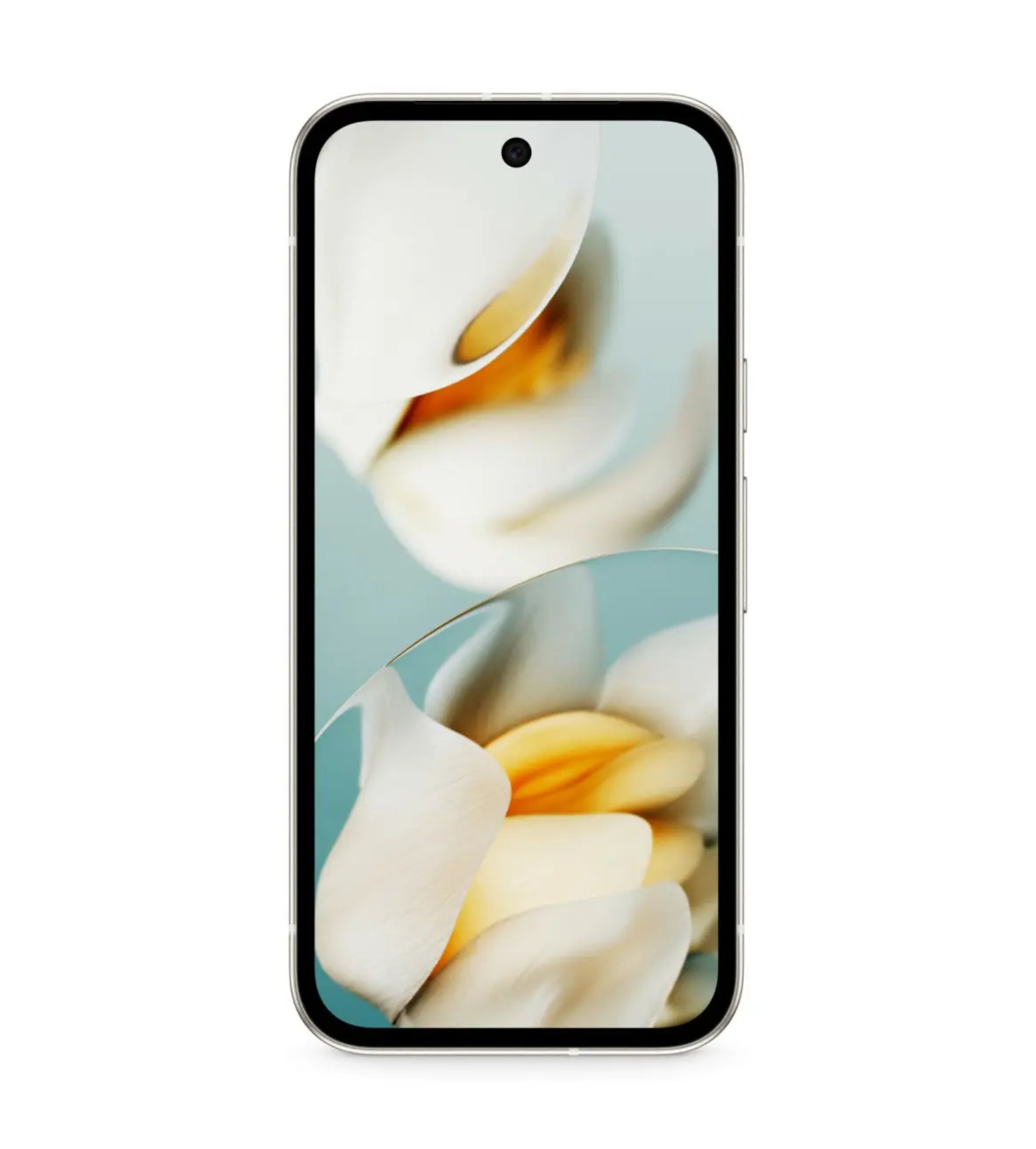 Google Pixel 9A 12/128Гб, Фарфоровый