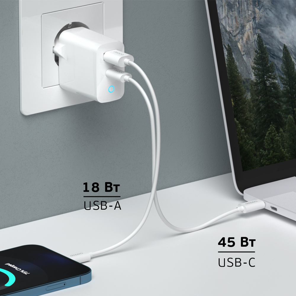 Deppa USB-A/USB-C, GaN 65W, Белый