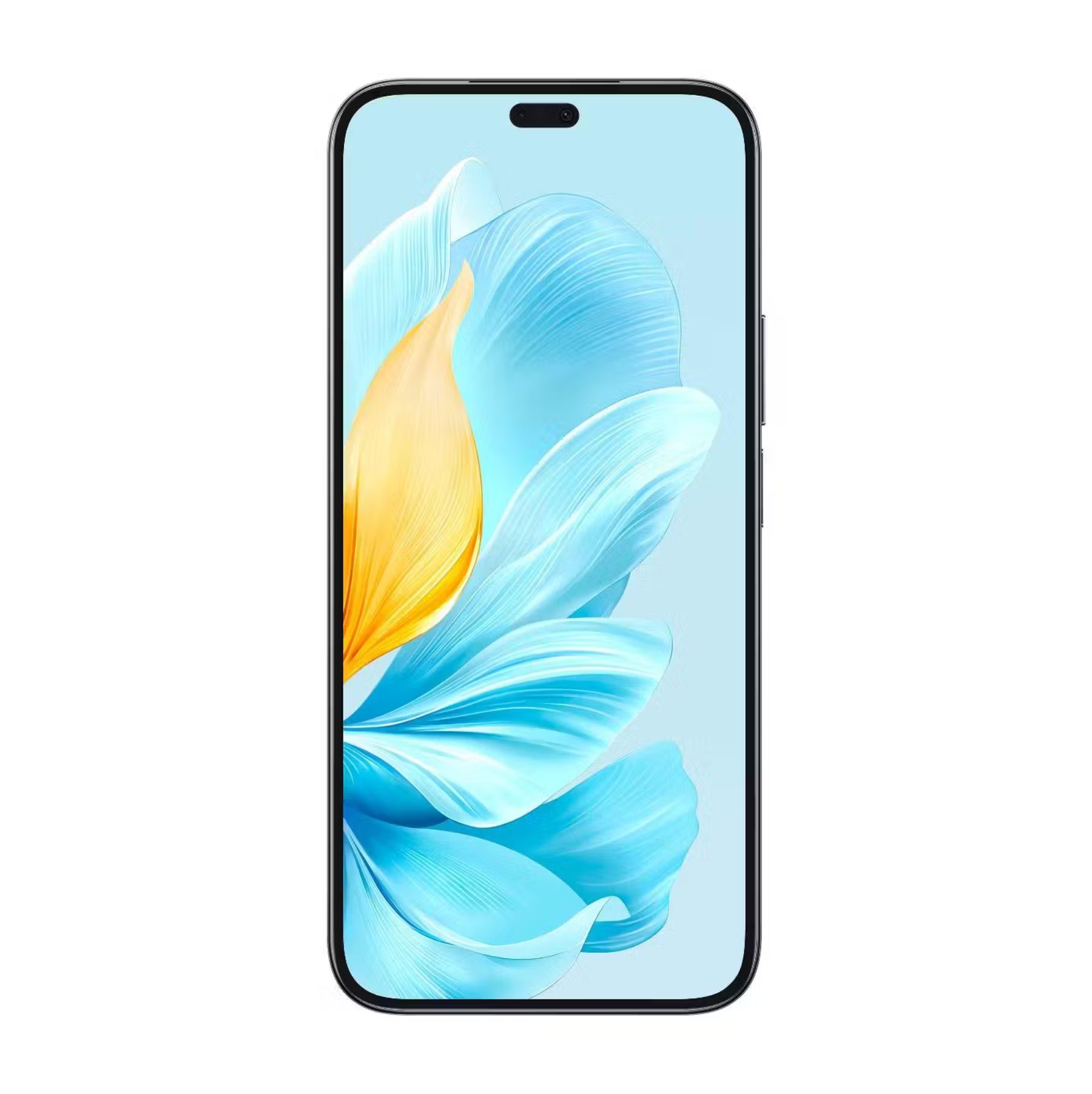 Honor 200 Lite 8/256Гб, Полуночнo-черный