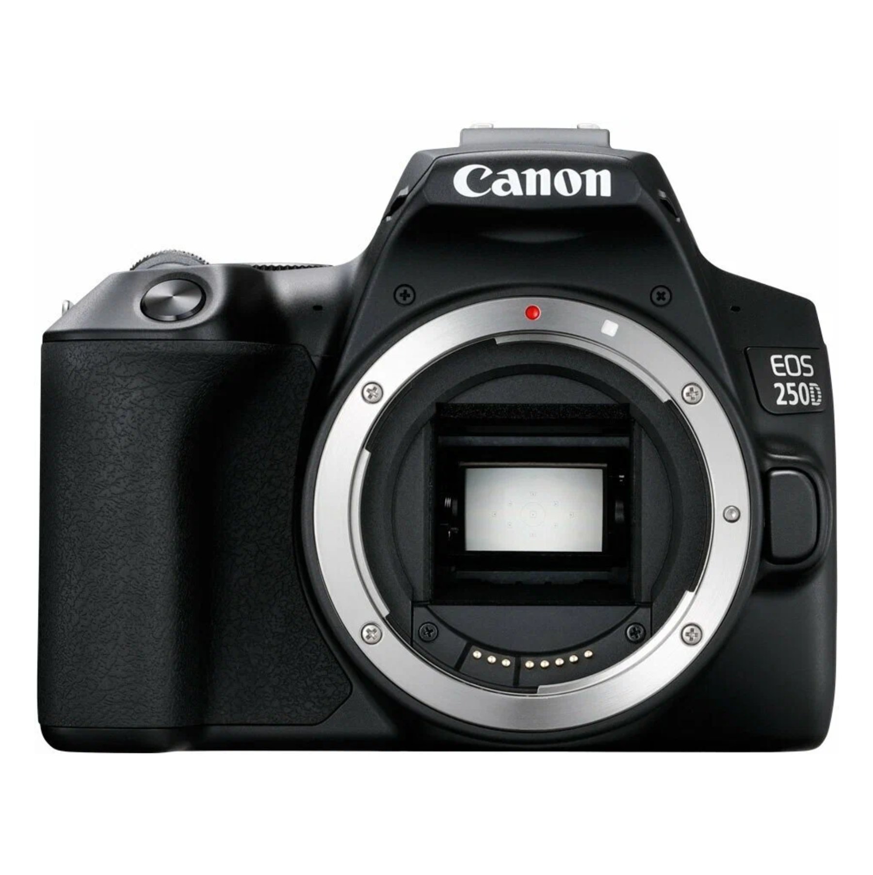 Canon EOS 250D Kit EF-S 18-55 мм, F/3.5-5.6 III, Черный в Краснодаре