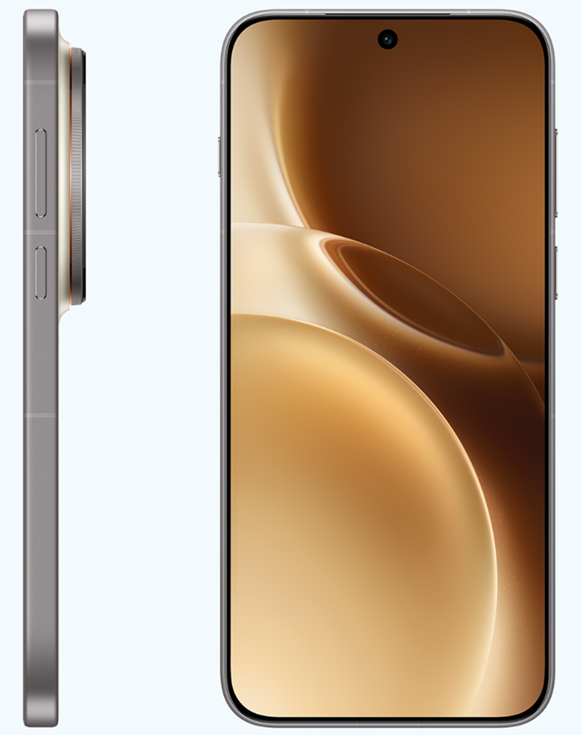 Смартфон Vivo X300 Pro 12/256Гб Коричневый - CN