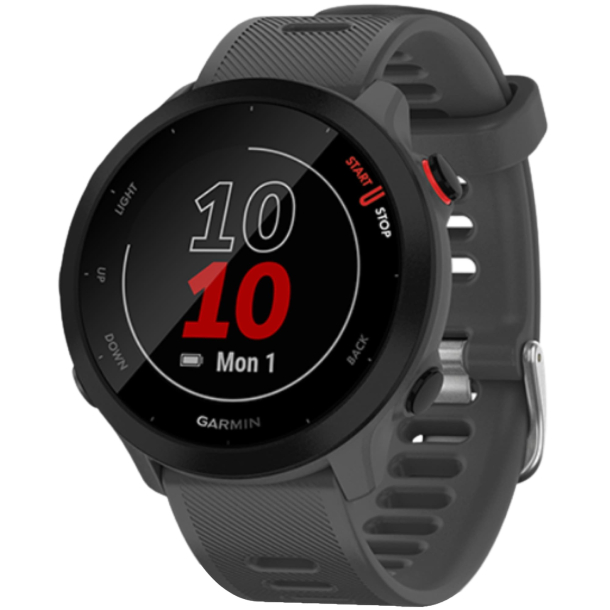 Garmin ForeRunner 55 Montera, Серые