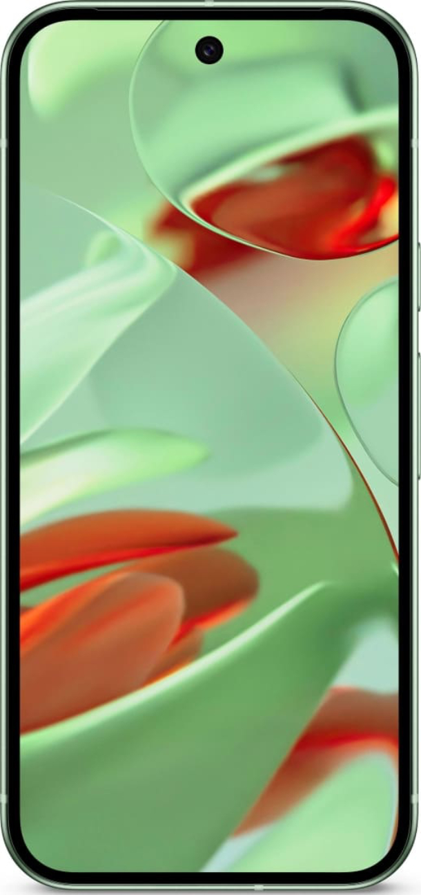 Google Pixel 9 12/128Гб, Зимний зеленый