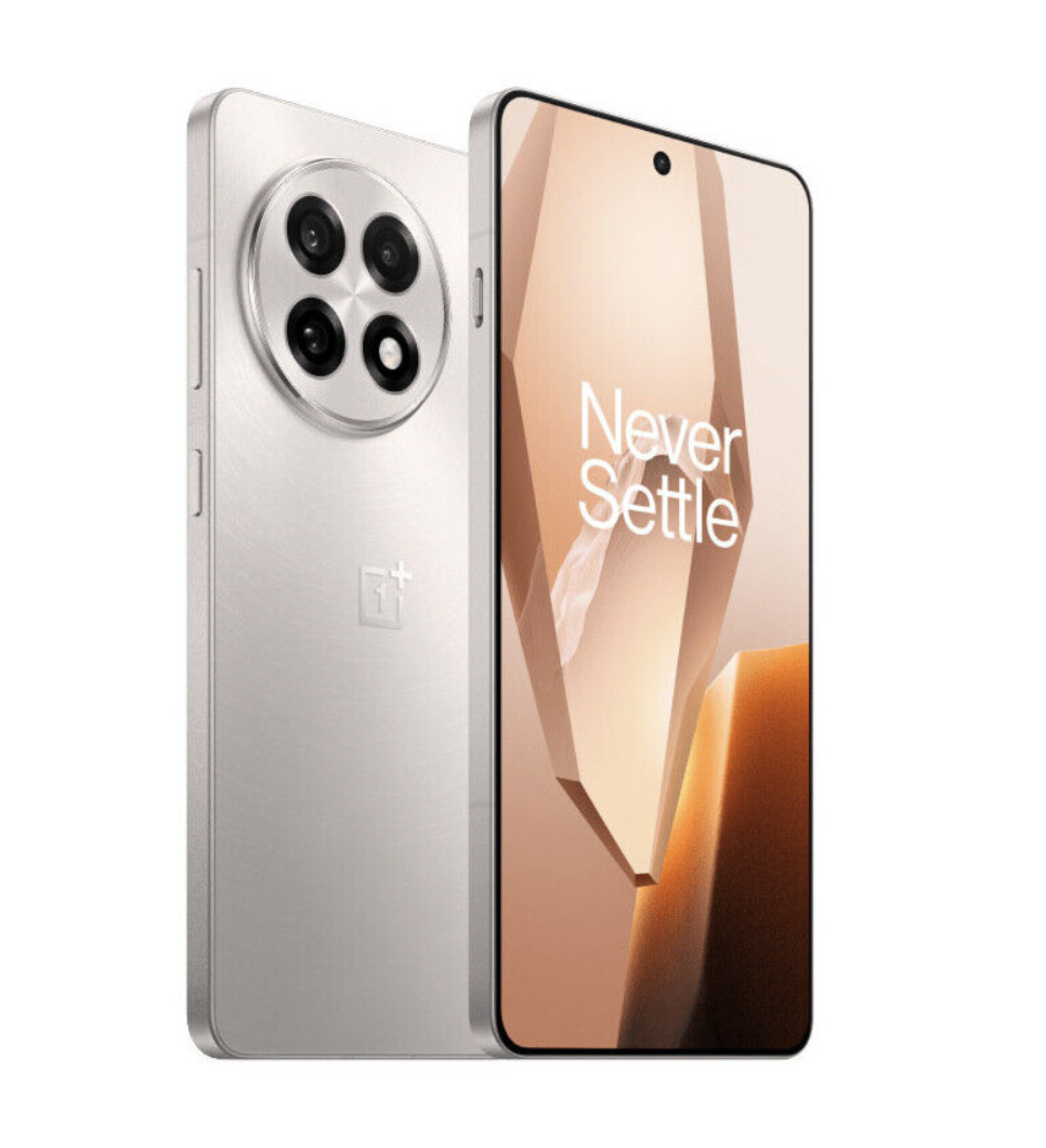 OnePlus 13R 12/256Гб, Серебристый