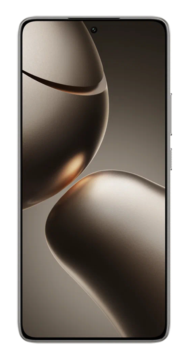 Xiaomi 14T Pro 12/256Гб, Серый титан