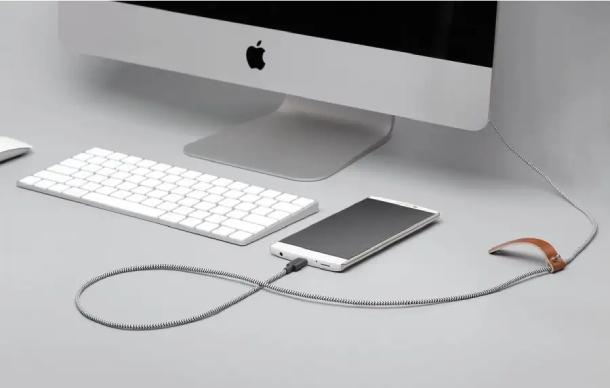Native Union BELT CABLE, USB-A/USB-C 1,2м, Зебра