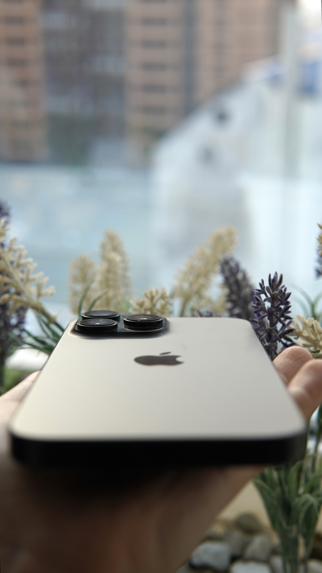 iPhone 16 Pro Max 256Гб, 1 sim + eSIM / 100%, Черный титан - БУ . . +